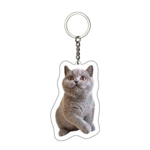 Making custom clear acrylic photo keychains​ bulk​